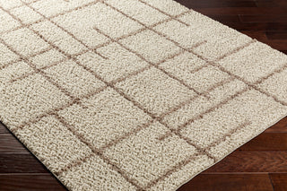 Surya Maryland Shag MSG-2306 Area Rug Corner Shot
