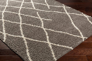 Surya Maryland Shag MSG-2308 Area Rug Corner Shot