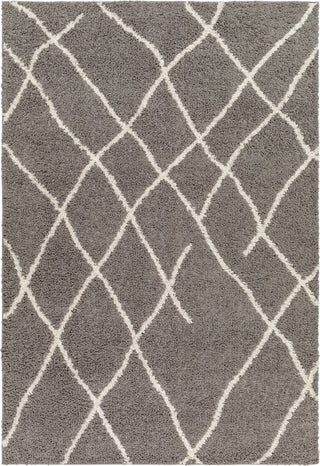 Surya Maryland Shag MSG-2308 Area Rug main image