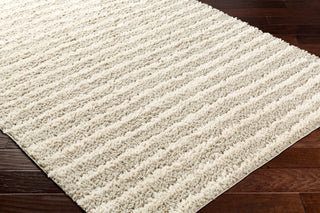 Surya Maryland Shag MSG-2309 Area Rug Corner Shot
