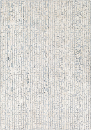 Surya Montclair MTC-2309 Area Rug main image