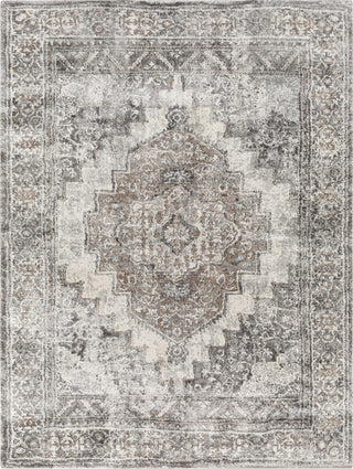 Surya Montana MTN-2306 Area Rug main image