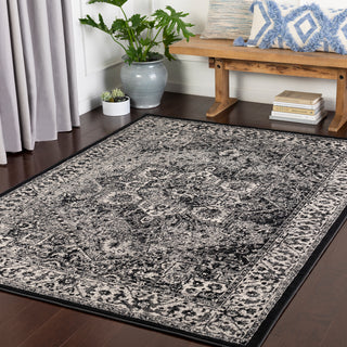 Surya Mumbai MUM-2301 Area Rug Room Scene Feature