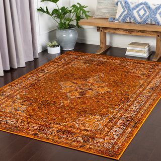 Surya Mumbai MUM-2304 Area Rug Room Scene Feature