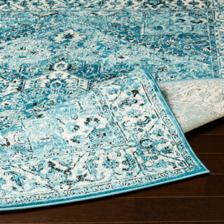 Surya Mumbai MUM-2309 Area Rug 