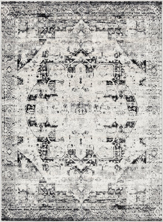 Surya Mumbai MUM-2312 Area Rug main image