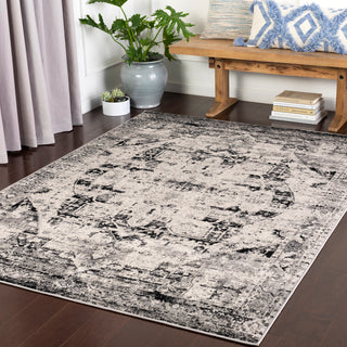 Surya Mumbai MUM-2312 Area Rug Room Scene Feature