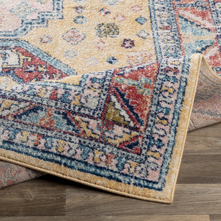 Livabliss Murat MUT-2305 Area Rug