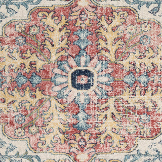 Livabliss Murat MUT-2321 Area Rug