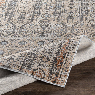 Surya Maxwell MWL-2304 Area Rug