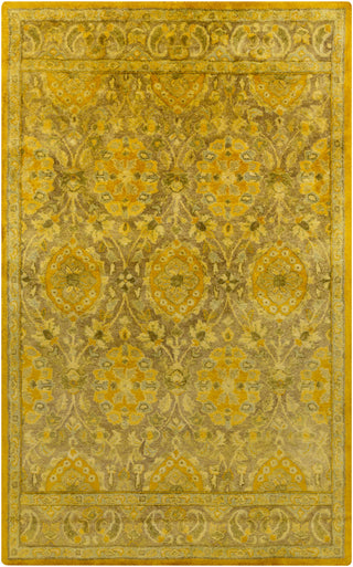 Surya Mykonos MYK-5002 Gold Area Rug 5' x 8'