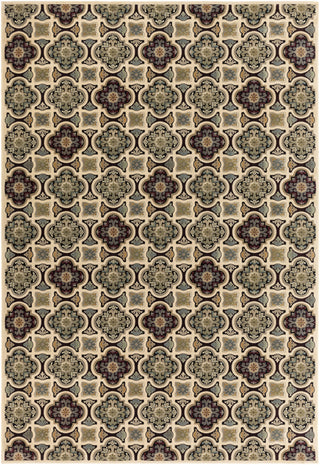 Surya Napa NAP-1018 Area Rug 8'10'' X 12'9''