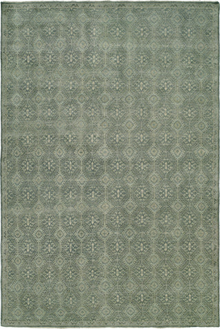 Ancient Boundaries Nawaksut NAW-04 Area Rug main image