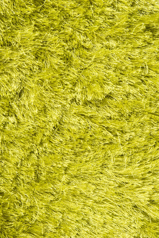 Chandra Naya NAY-18800 Green Area Rug Close Up