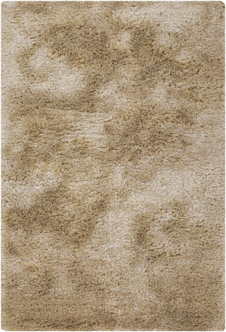 Chandra Naya NAY-18804 Tan/Beige Area Rug main image