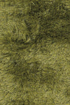 Chandra Naya NAY-18812 Green Mix Area Rug Close Up