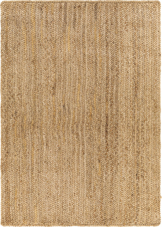 Surya Natural Braids NBD-2300 Area Rug main image