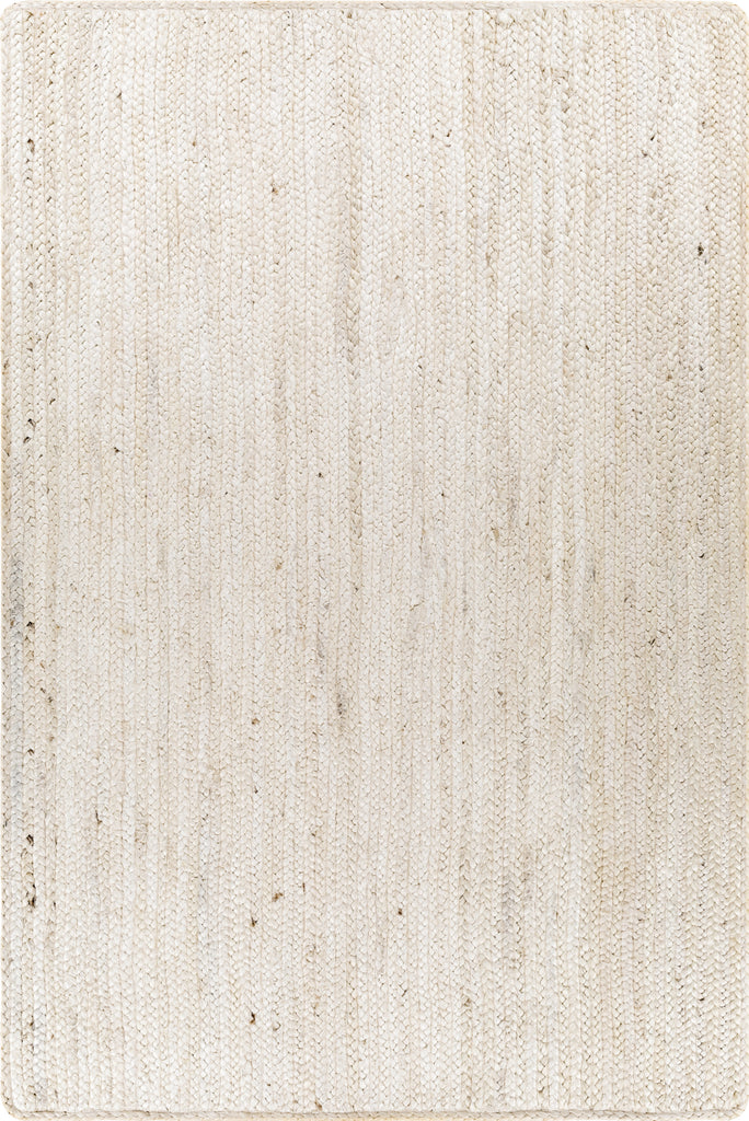 Surya Natural Braids NBD-2301 Area Rug main image