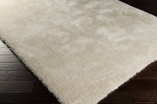 Surya Nimbus NBS-3001 Ivory Area Rug 5x8 Corner