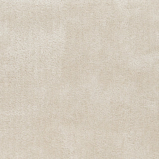 Surya Nimbus NBS-3001 Ivory Area Rug Sample Swatch