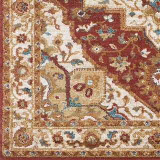 Artistic Weavers Nicea Rufus NCA2304 Area Rug Swatch