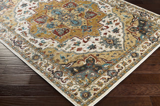 Artistic Weavers Nicea Rufus NCA2305 Area Rug Corner Shot Feature