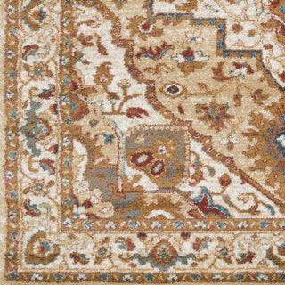 Artistic Weavers Nicea Rufus NCA2306 Area Rug Swatch