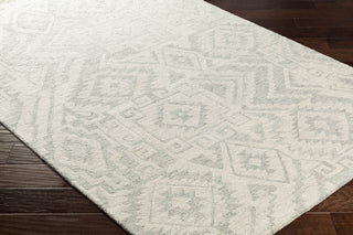 Surya Newcastle NCS-2302 Area Rug  Feature