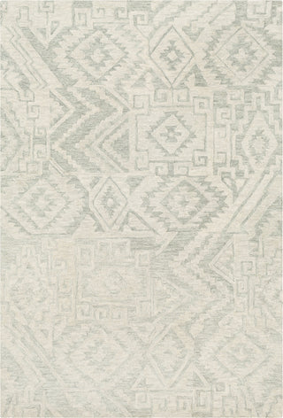 Surya Newcastle NCS-2302 Area Rug main image