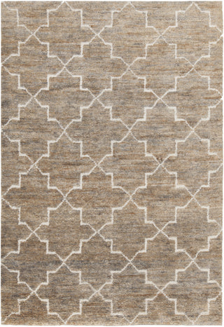 Chandra Nesco NES-32700 Light Brown Area Rug main image