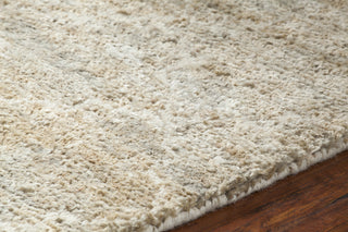 Chandra Nesco NES-32700 Light Brown Area Rug Detail