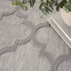Nourison Easy Care NES01 Silver Grey Area Rug Main Image