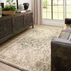 Karastan Euphoria New Ross Ash Grey Area Rug Main Image