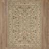 Karastan Euphoria Newbridge Willow Grey Area Rug Main Image