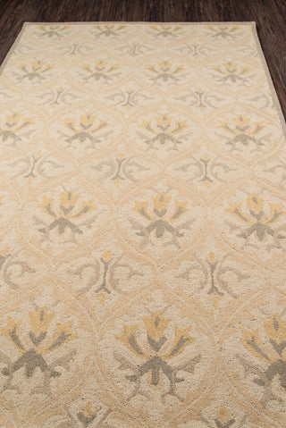 Momeni Newport NP-11 Beige Area Rug Closeup Feature