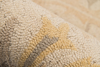 Momeni Newport NP-11 Beige Area Rug Detail Shot