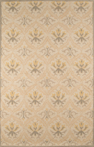 Momeni Newport NP-11 Beige Area Rug main image