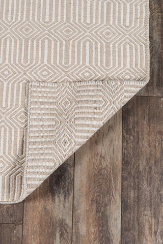 Momeni Newton NWT-1 Beige Area Rug by Erin Gates Main Image