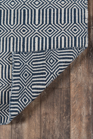 Momeni Newton NWT-1 Navy Area Rug by Erin Gates Main Image