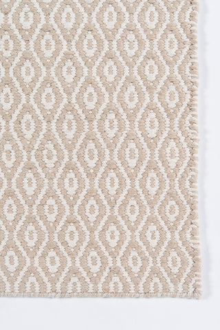 Momeni Newton NWT-3 Beige Area Rug by Erin Gates Close up