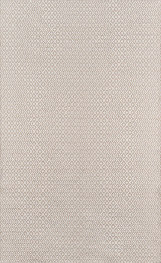 Momeni Newton NWT-3 Beige Area Rug by Erin Gates main image