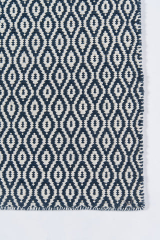 Momeni Newton NWT-3 Navy Area Rug by Erin Gates Close up