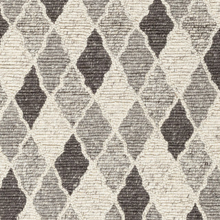 Surya Nico NIC-7002 Area Rug Sample Swatch