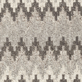 Surya Nico NIC-7003 Area Rug Sample Swatch