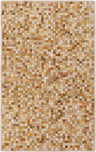 Surya Niki NIK-2000 Rust Area Rug by Papilio 5' x 8'