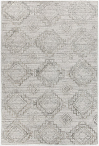 Chandra Nimah NIM-46502 Silver Area Rug main image