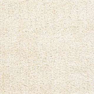 Surya Nitro NITRO-16 Ivory Area Rug Sample Swatch