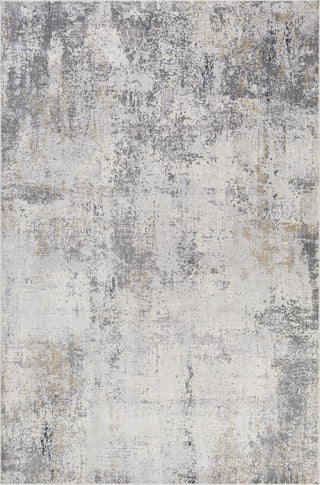 Livabliss Norland NLD-2303 Area Rug