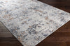 Livabliss Norland NLD-2305 Area Rug