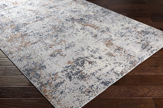 Livabliss Norland NLD-2305 Area Rug